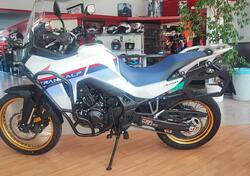 Honda Transalp XL750 (2023 - 24) usata