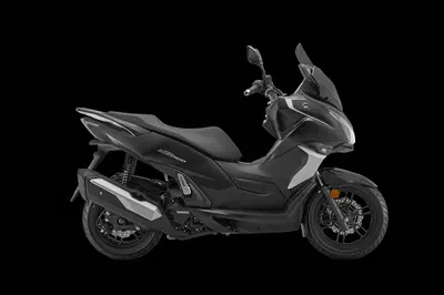 QJ Motor MTX 300 (2025 - 26) nuova