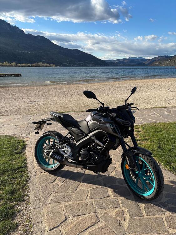 Yamaha MT-125 (2021 - 24) (3)