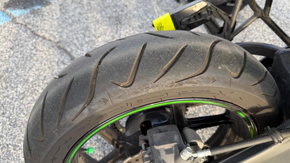 Kawasaki Versys 650 (2021 - 24) (4)