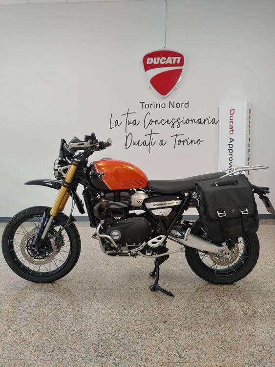 Triumph Scrambler 1200 XE (2024 - 25) (4)