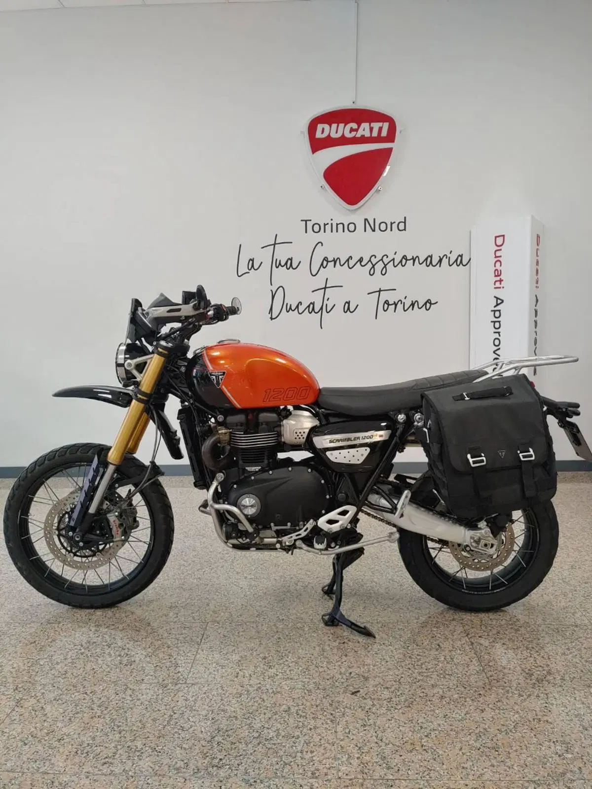 Triumph Scrambler 1200 XE (2024 - 25) (4)