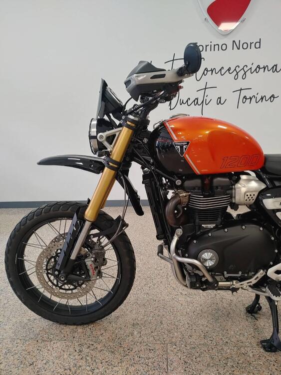 Triumph Scrambler 1200 XE (2024 - 25) (5)