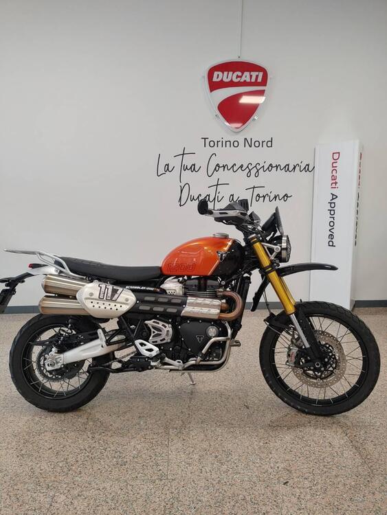 Triumph Scrambler 1200 XE (2024 - 25)