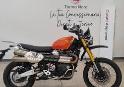 Triumph Scrambler 1200 XE (2024 - 25) usata