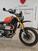 Triumph Scrambler 1200 XE (2024 - 25) (11)