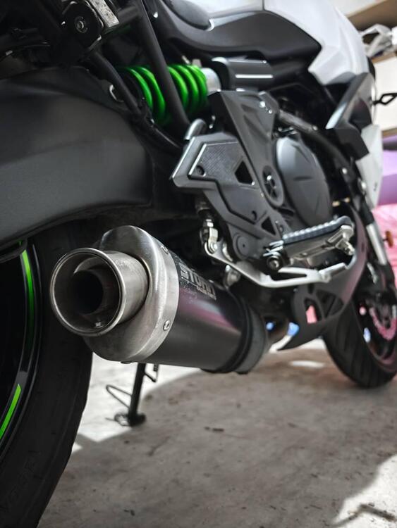 Kawasaki Versys 650 Grand Tourer (2017 - 20) (5)