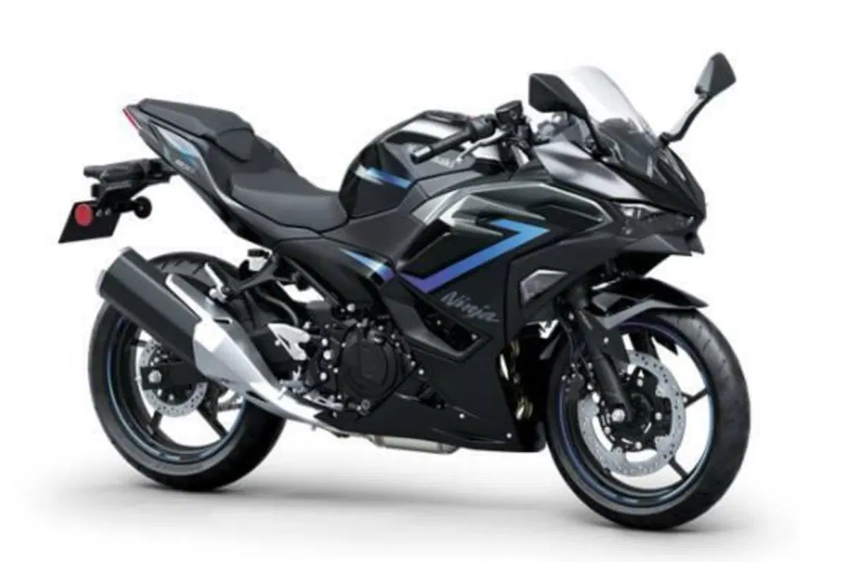 Kawasaki Ninja 500 SE (2024 - 26)