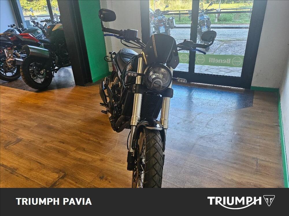 Benelli Leoncino 500 Trail (2021 - 25) (5)