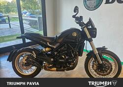 Benelli Leoncino 500 Trail (2021 - 25) usata