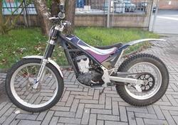 Scorpa SY 250 Long-Ride (2008 - 09) usata