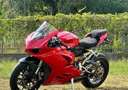Ducati Panigale V2 (2021 - 24) usata