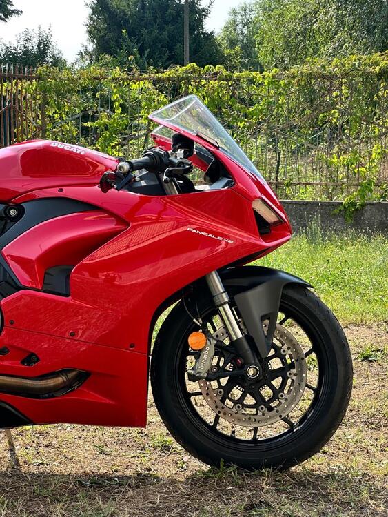 Ducati Panigale V2 (2021 - 24) (3)