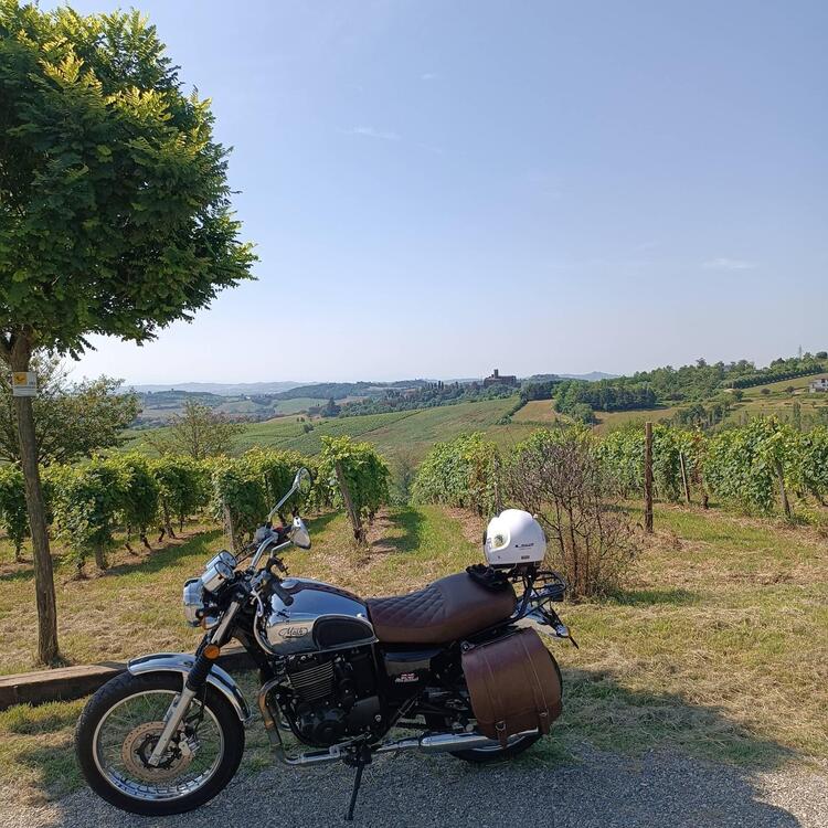 Mash Italia Five Hundred 400 (2017 - 20) (3)