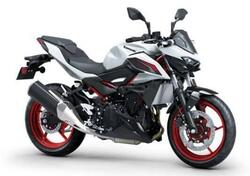 Kawasaki Z 500 SE (2024 - 26) nuova