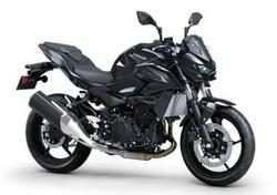 Kawasaki Z 500 (2024 - 26) nuova