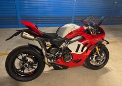 Ducati Panigale V4 R (2023 - 24) usata