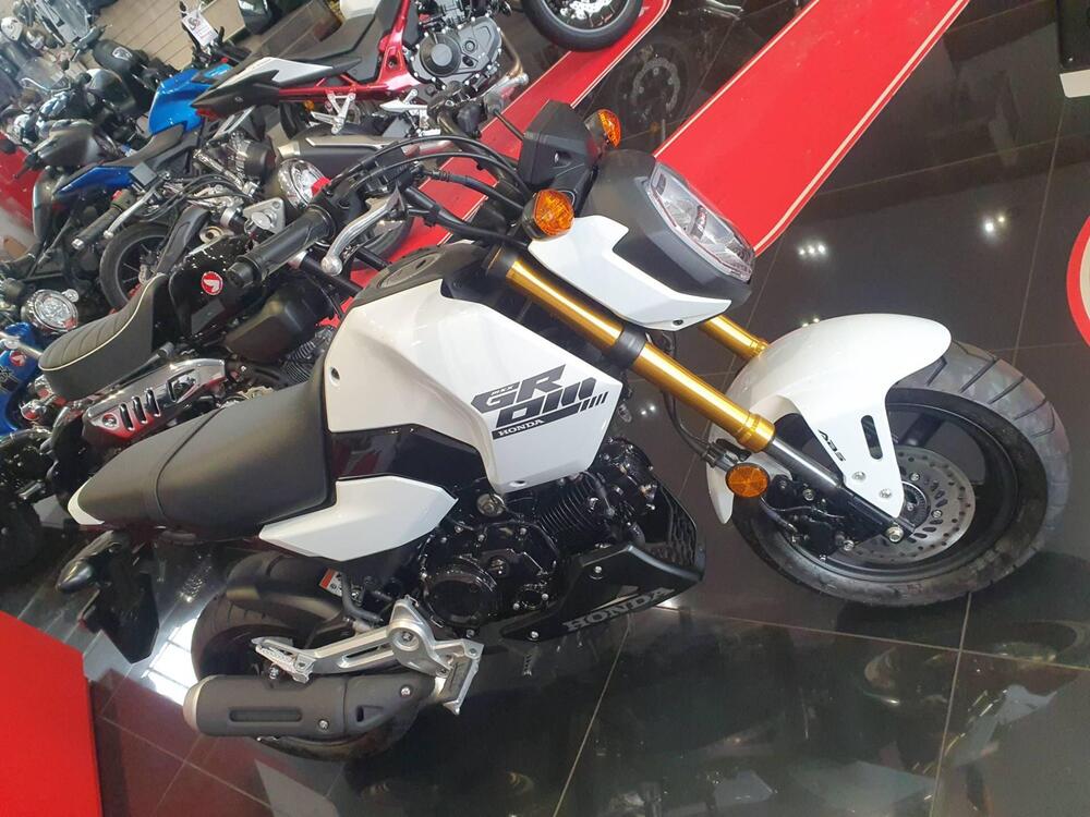 Honda MSX 125 Grom (2021 - 25)