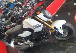 Honda MSX 125 Grom (2021 - 25) usata
