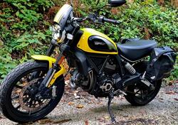 Ducati Scrambler 800 Icon (2017 - 20) usata