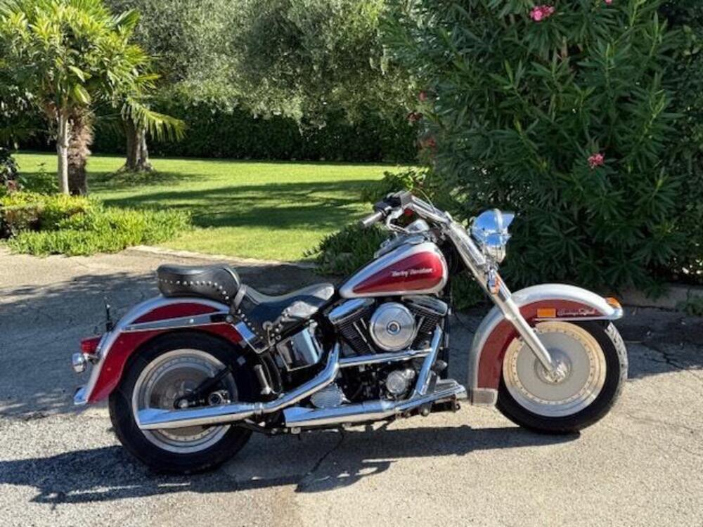 Harley-Davidson Softail Heritage 1340 (2)