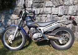 Scorpa TY-S175F usata