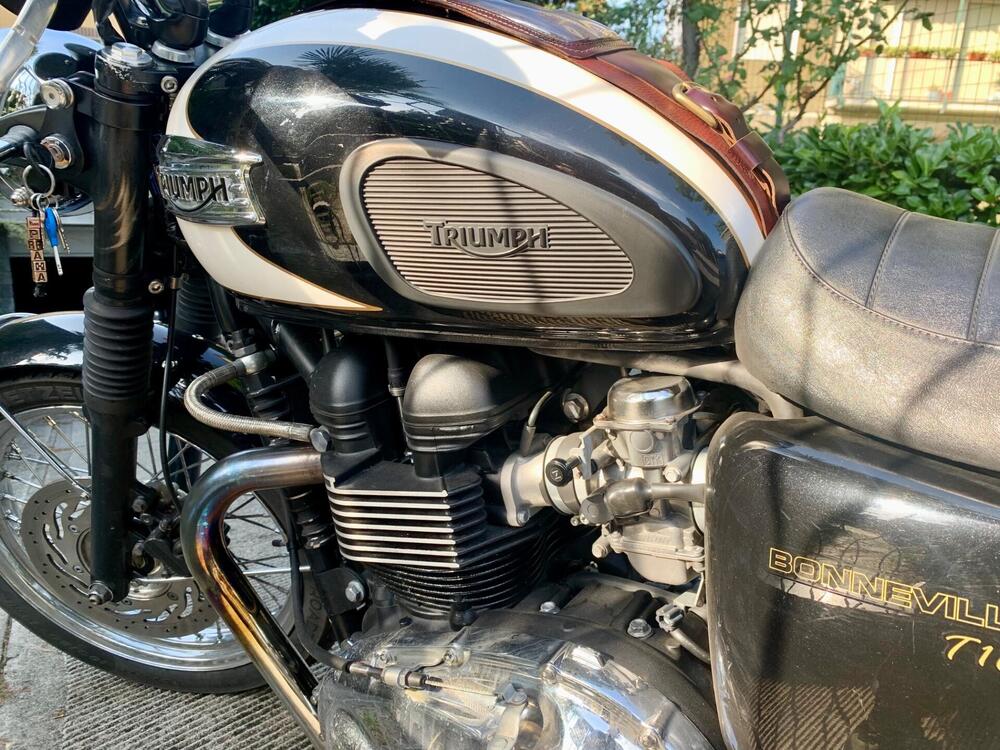 Triumph Bonneville T100 (2008 - 16) (2)