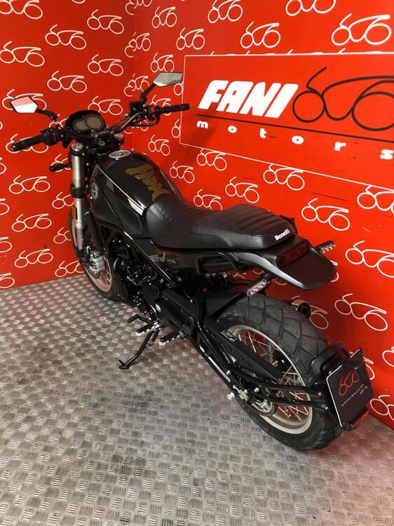 Benelli Leoncino 500 Trail (2021 - 25) (4)