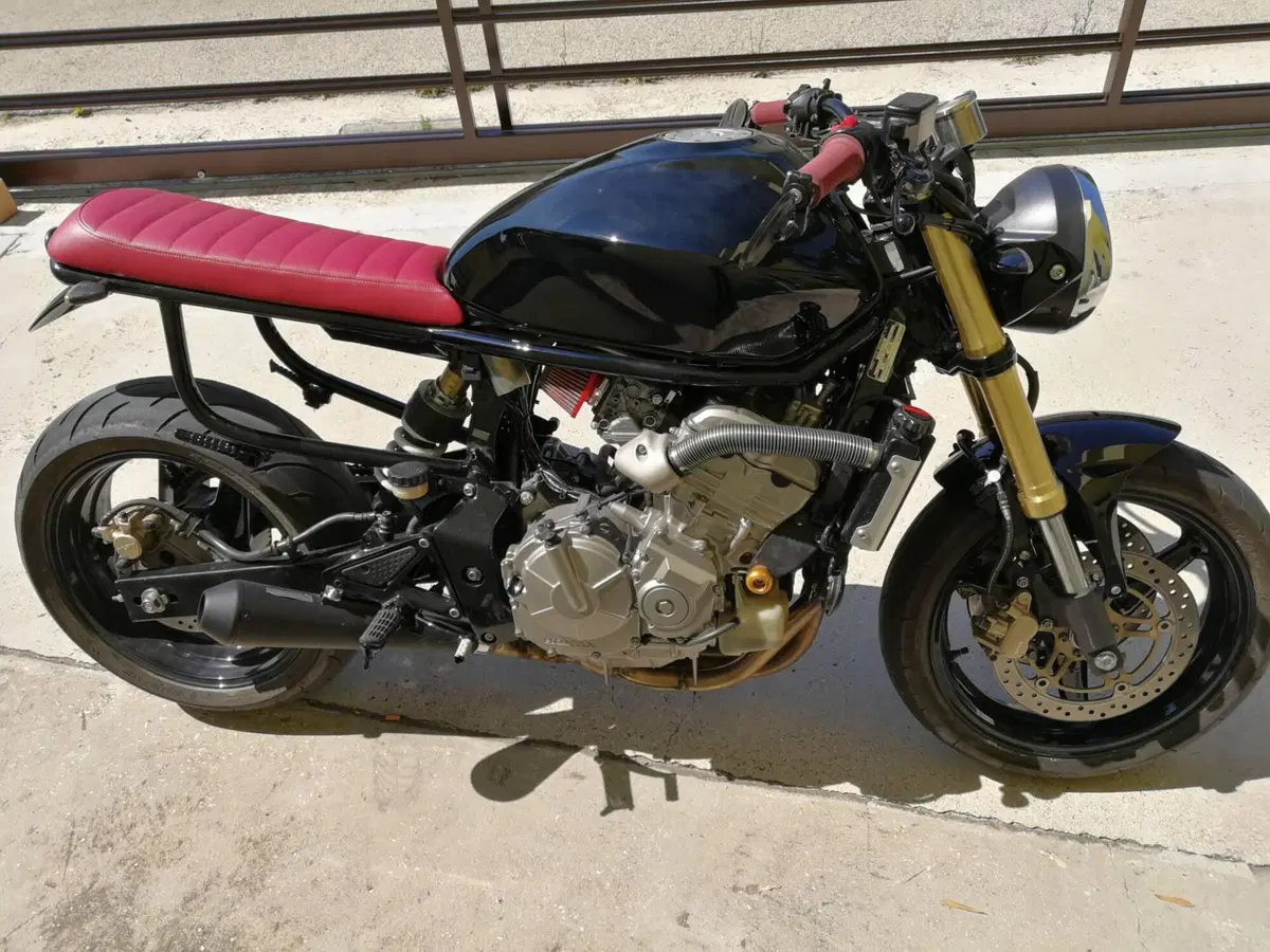 Honda Hornet 600 (2005 - 06) (2)