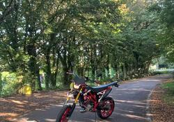 Valenti Racing N01 50 (2015 - 22) usata