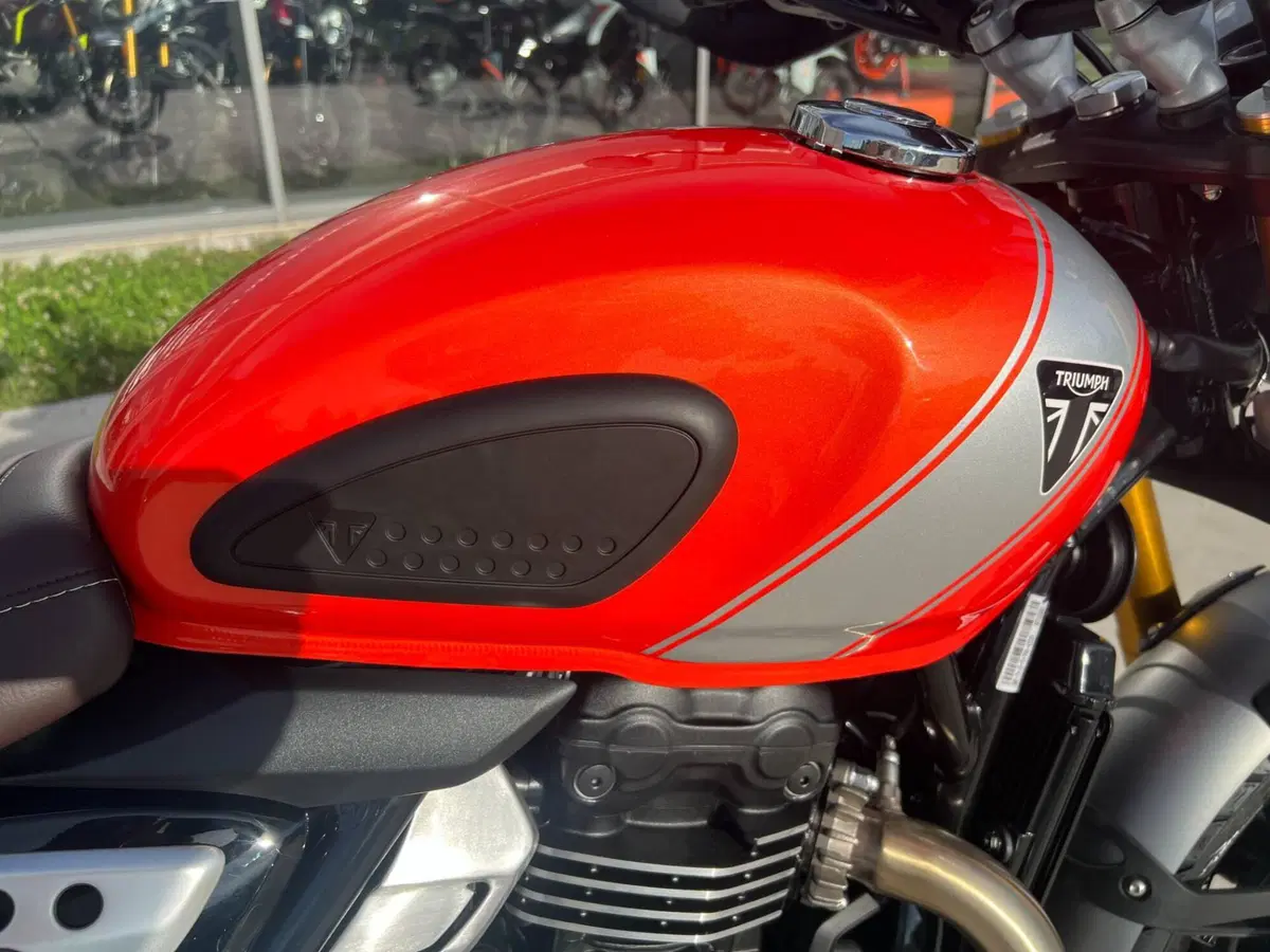 Triumph Scrambler 400 X (2024 - 26) (6)