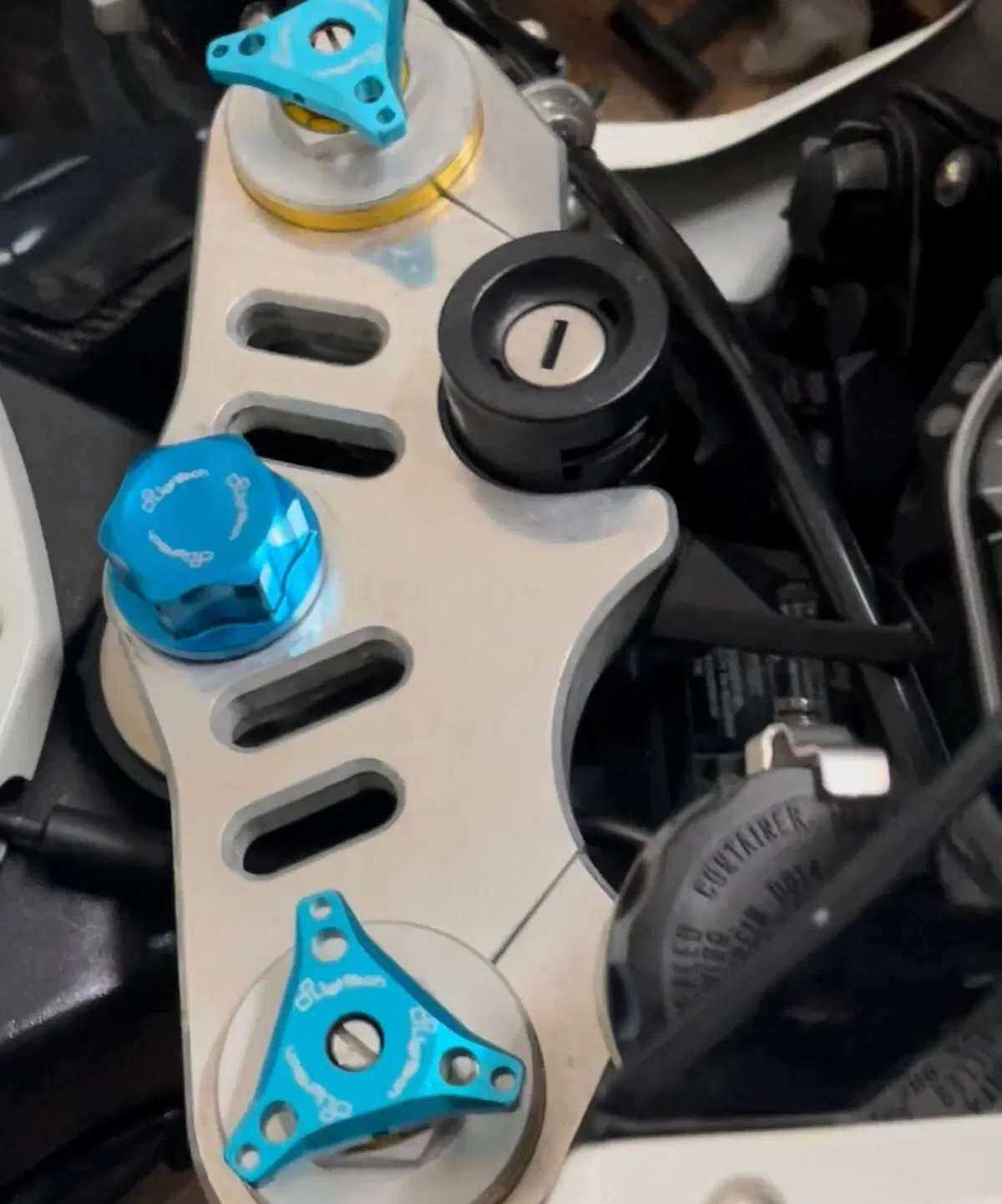 Bmw S 1000 RR (2009 - 12) (8)