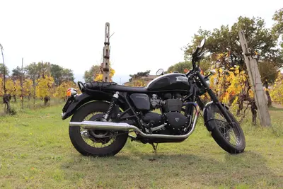 Triumph Bonneville T100 (2008 - 16) usata
