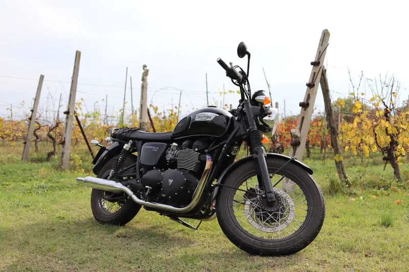 Triumph Bonneville T100 (2008 - 16) (2)