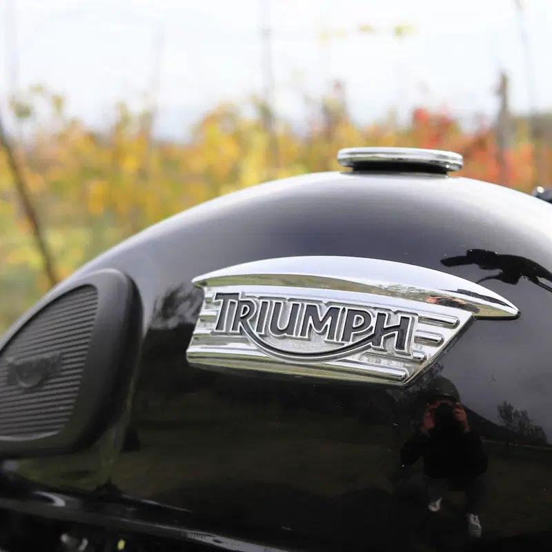 Triumph Bonneville T100 (2008 - 16) (4)