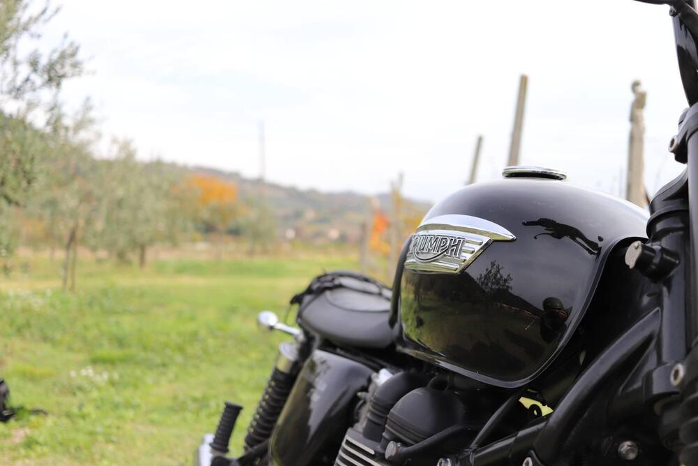 Triumph Bonneville T100 (2008 - 16) (5)