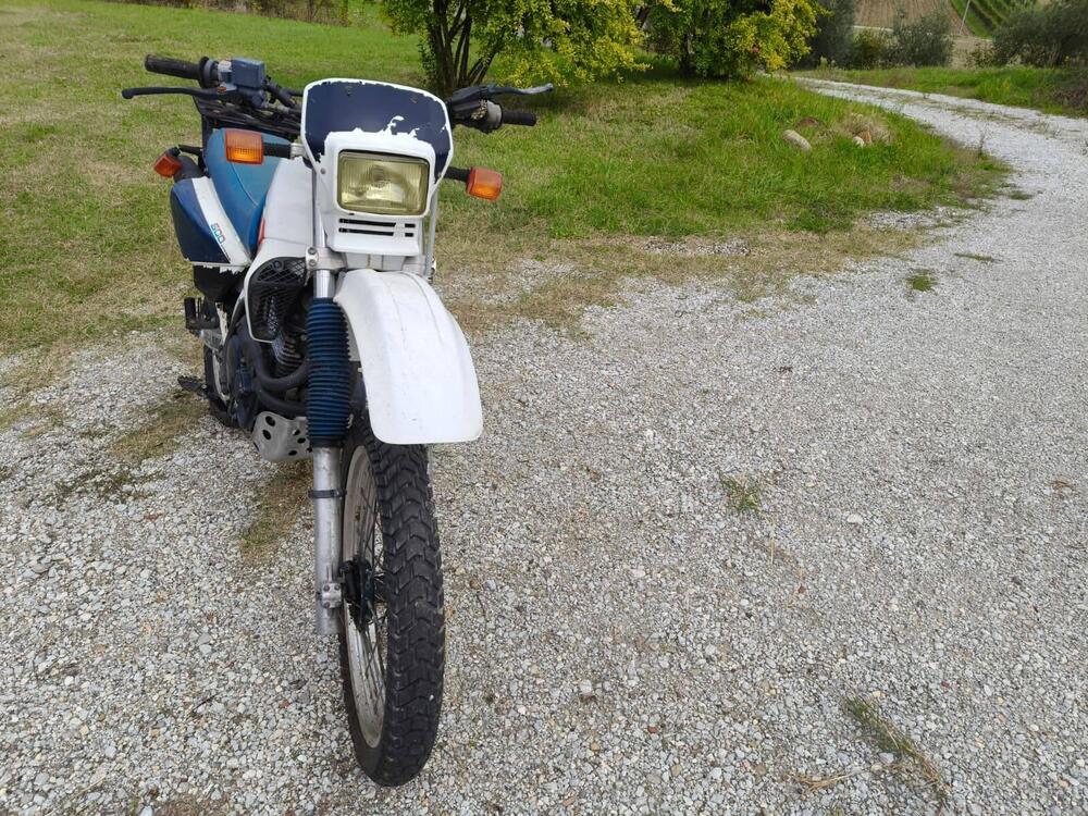 Honda XL 600 RM (3)