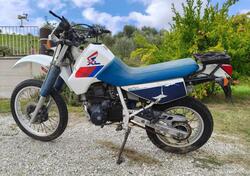 Honda XL 600 RM d'epoca