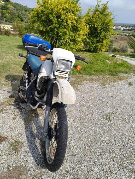 Honda XL 600 RM (5)