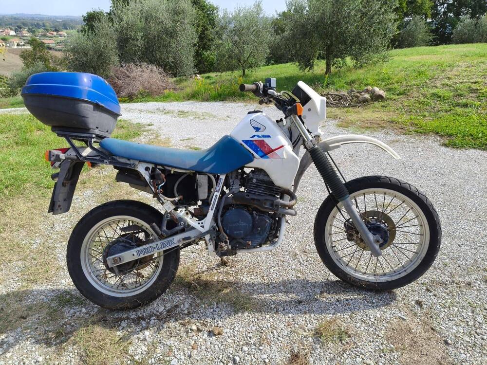 Honda XL 600 RM (3)