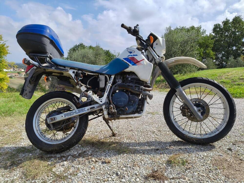 Honda XL 600 RM (4)