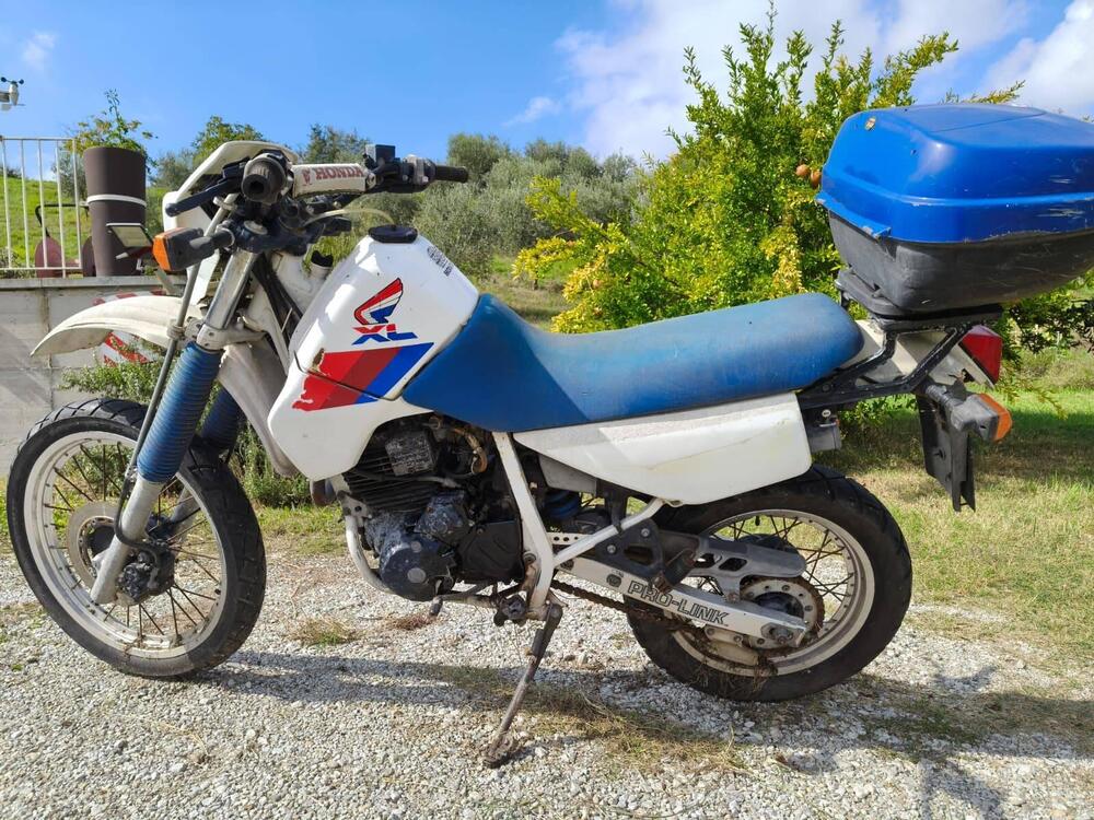 Honda XL 600 RM