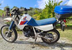 Honda XL 600 RM d'epoca
