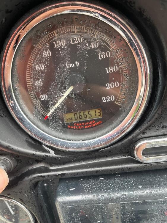 Harley-Davidson 1450 Electra Glide Standard (1999 - 05) - FLHTI (5)