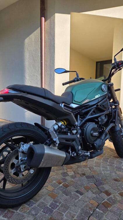 Benelli Leoncino 800 (2022 - 25) (5)