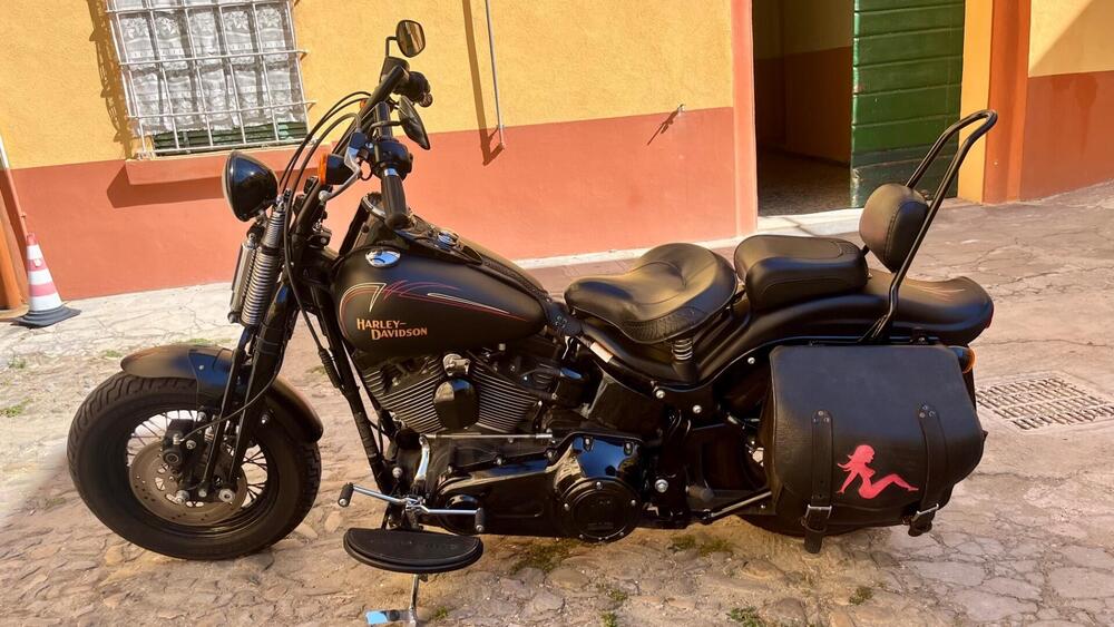 Harley-Davidson 1584 Cross Bones (2008 - 11) - FLSTSB (2)