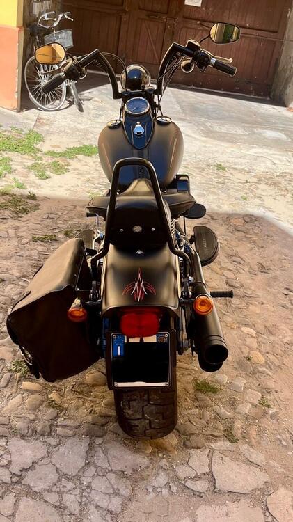 Harley-Davidson 1584 Cross Bones (2008 - 11) - FLSTSB (3)