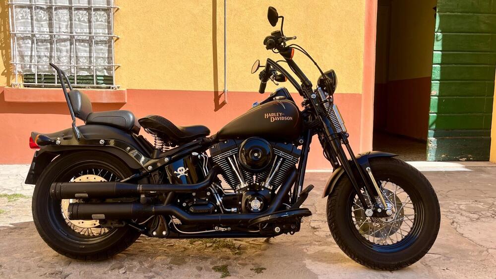 Harley-Davidson 1584 Cross Bones (2008 - 11) - FLSTSB (4)