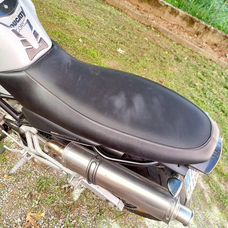 Ducati Monster 620 Dark (2003 - 06) (5)