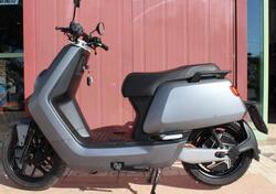 Niu MQi GT 70 (2021 - 25) usata